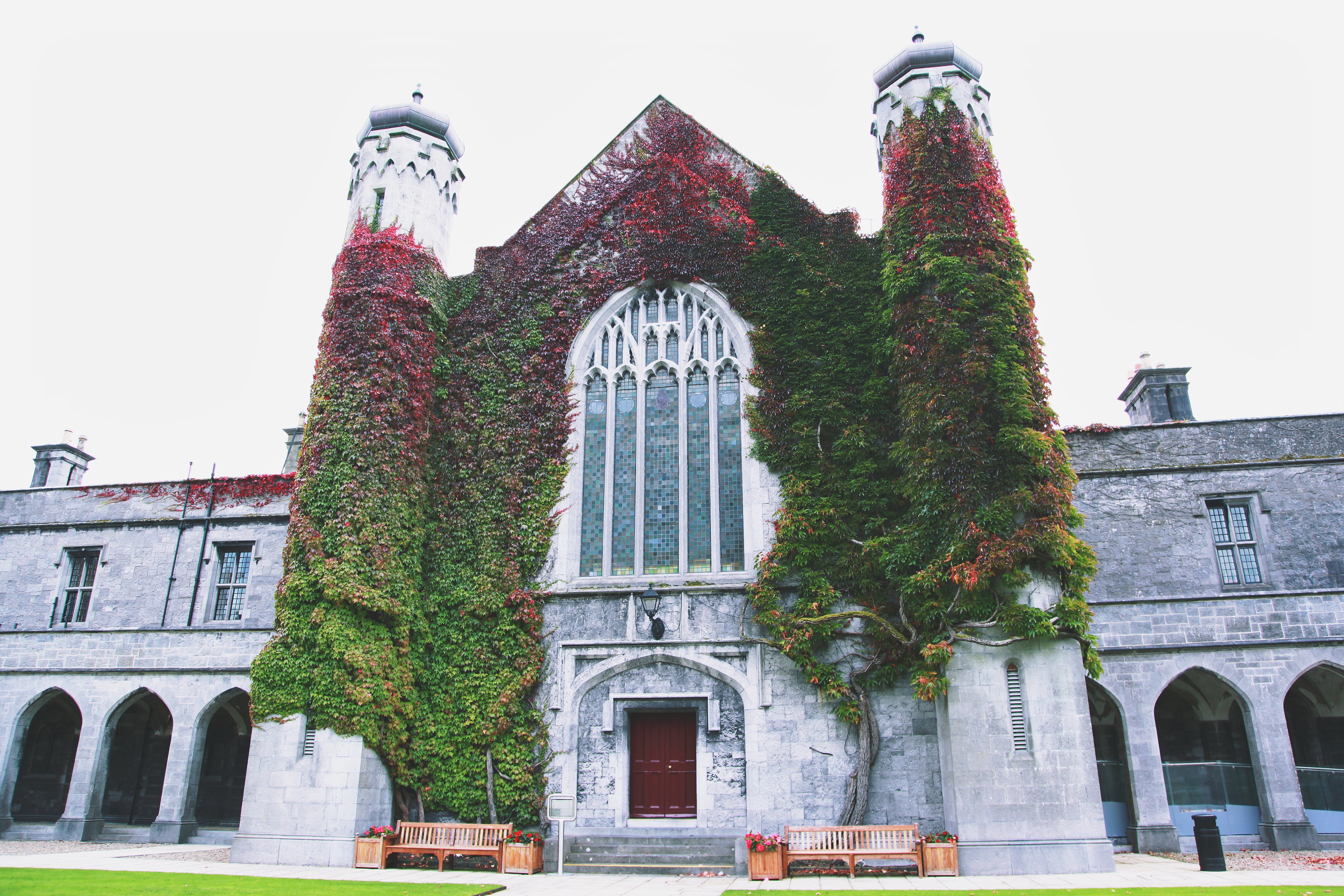 Ireland College 